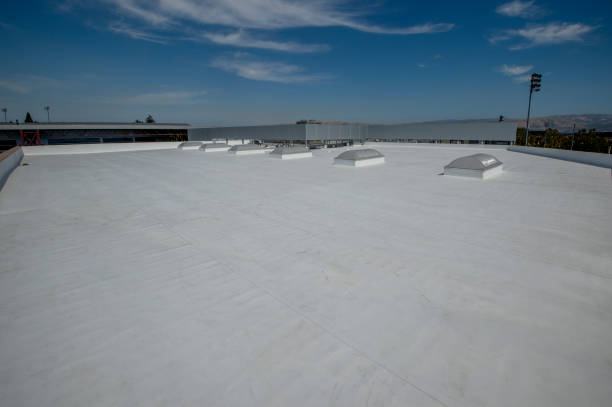 Best Commercial Roofing Services  in Delphos, OH