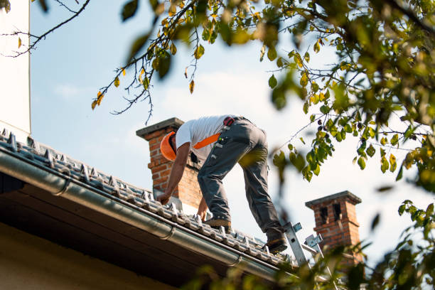 Best Roof Moss and Algae Removal  in Delphos, OH