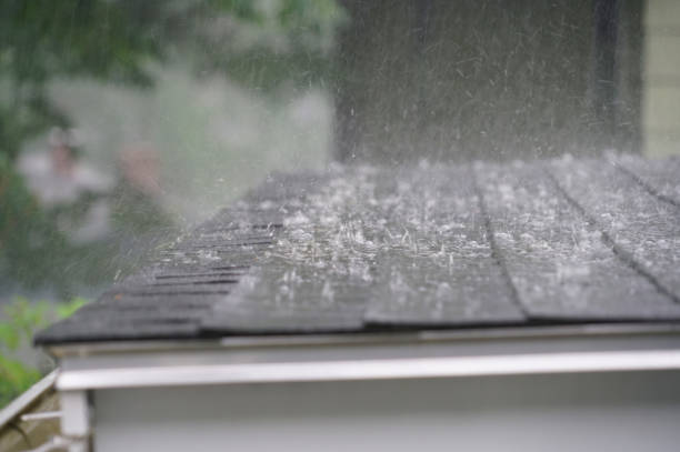 Best Metal Roofing Installation  in Delphos, OH