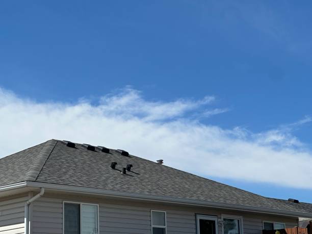 Best Rubber Roofing (EPDM, TPO)  in Delphos, OH